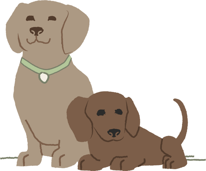 breeding and genetics