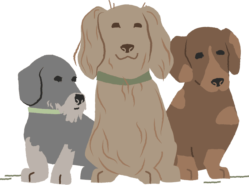 dachshund breeds