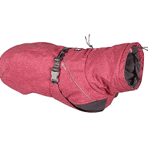 Blizzard Dachshund Parka