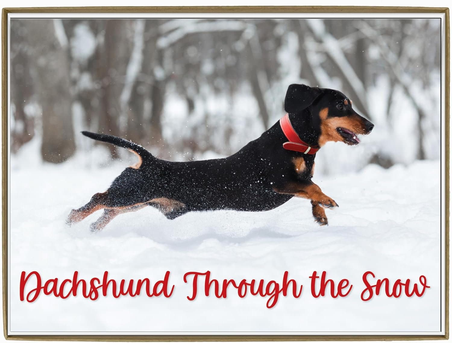 Dachshund Through The Snow Card Set GloryToDog
