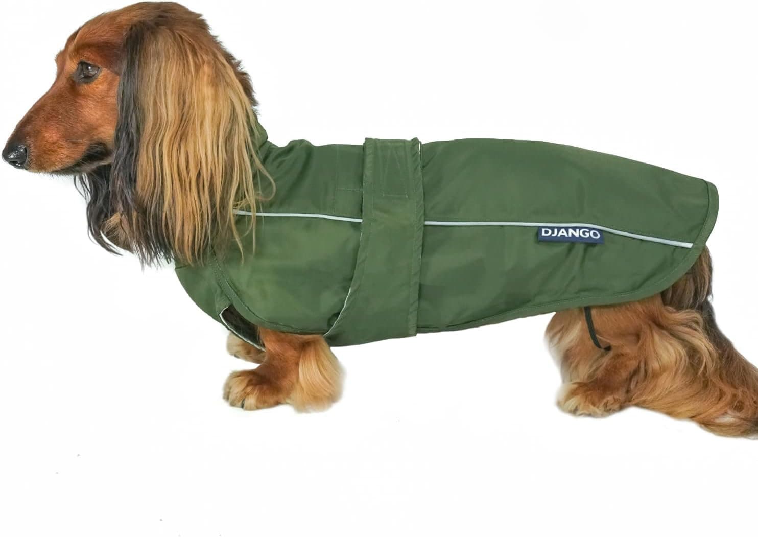 django-dog-raincoat-kombu-green