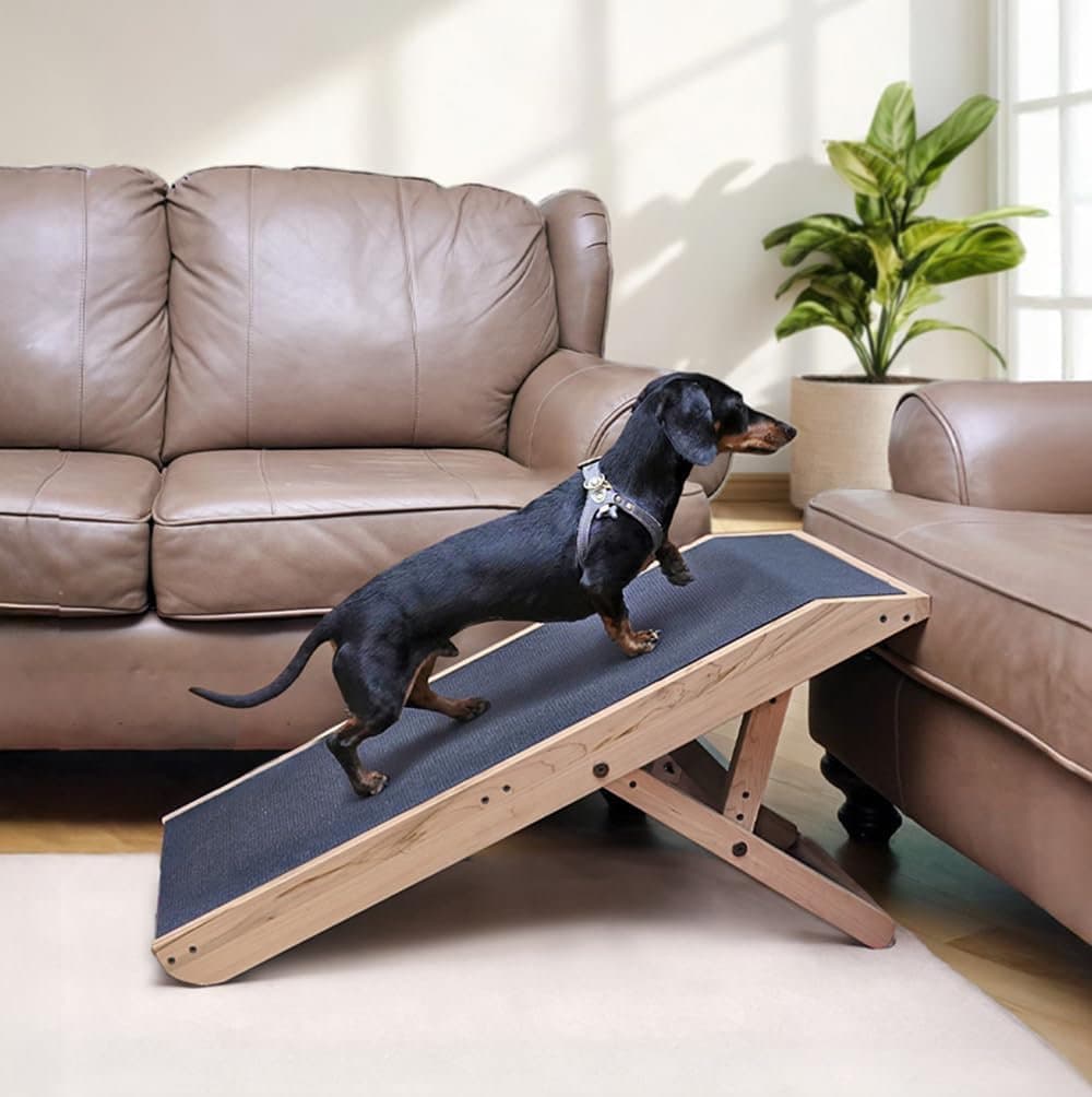 Black and tan dachshund using a wooden dog ramp to climb onto a sofa in a cozy living room with leather couches and a potted plant.
